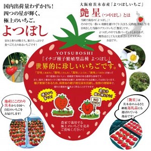 艶星(イチゴ)約350g~約400g「甘味、酸味、風味、旨味」四つ星級に美味!採れたてをお届けします【配送不可地域:離島】【1651679】