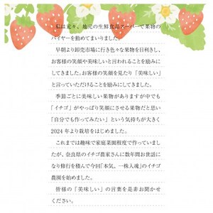 艶星(イチゴ)約350g~約400g「甘味、酸味、風味、旨味」四つ星級に美味!採れたてをお届けします【配送不可地域:離島】【1651679】