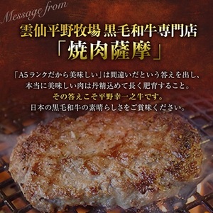 特選和牛〈焼肉薩摩 完熟平野幸一之牛〉ハンバーグ10個_肉 ハンバーグ 牛肉 _【配送不可地域:離島】【1014403】