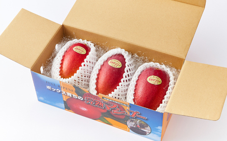 大阪茨木 小川農園の《贈答用》完熟マンゴー約1kg〈2～3個入〉【R8年7月中旬発送開始】_果物・フルーツ マンゴー  _【配送不可地域：離島】【1229124】