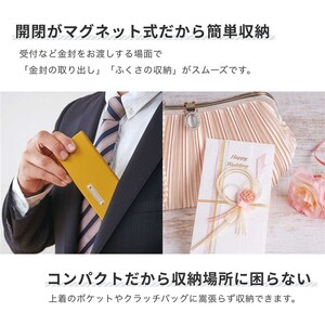 B305(紫苑)　スマートふくさ 袱紗 ポケットティッシュ入れ付き（紫苑）【大一創芸 FUKUSA FACTORY 袱紗 慶弔 男性 女性 結婚式 葬儀 お葬式 金封 コンパクト マグネット 日本製 大阪 八尾市】