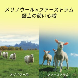 H160(アイボリー・200×250cm)　4色2サイズから選べる　メリノウール仕様　ウール100%ラグ　【2：アイボリー(200×250cm)】