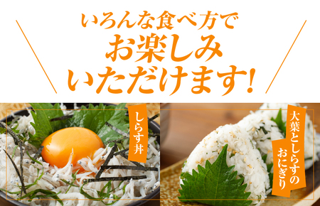 釜揚げしらす 1.6kg 訳あり 家庭用 完全無添加 うす塩仕立て