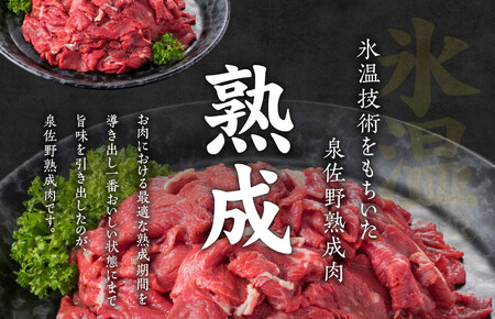 【極味付け肉】国産 牛肉 切り落とし 900g（300g×3）丸善味わい加工