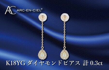 ARC-EN-CIEL K18ダイヤピアス ダイヤ計0.3ct | 大阪府泉佐野市