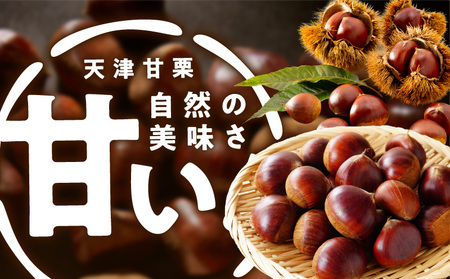 当店自慢の天津甘栗 800g【小分け 400g×2P お菓子 おつまみ 人気 甘味料不使用】