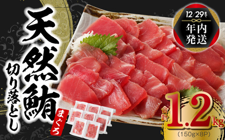 【年内発送】天然まぐろ 切り落とし 合計 1.2kg 小分け 150g×8P【訳あり サイズ不揃い 刺身 海鮮丼 鮪 まぐろ マグロ ユッケ 海鮮 ネギトロ 小分け ファミリー向け】