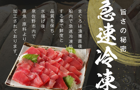 【年内発送】天然まぐろ 切り落とし 合計 1.2kg 小分け 150g×8P【訳あり サイズ不揃い 刺身 海鮮丼 鮪 まぐろ マグロ ユッケ 海鮮 ネギトロ 小分け ファミリー向け】