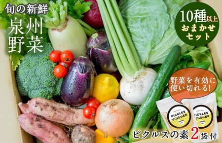 季節の泉州野菜 10種 おまかせセット ピクルスの素 2袋付き