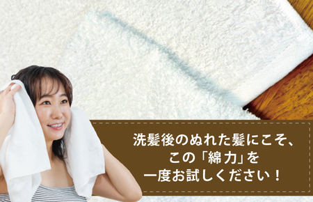 【スピード発送】高吸水 フェイスタオル 10枚セット