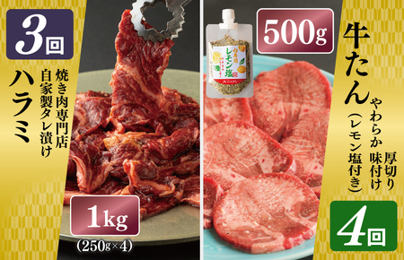 焼肉専門店厳選 大満足 焼肉 定期便 全6回 【毎月配送コース】