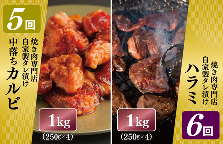 焼肉専門店厳選 大満足 焼肉 定期便 全6回 【毎月配送コース】