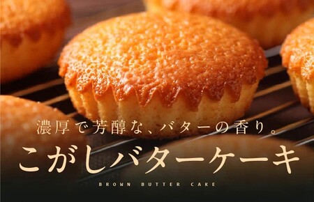 【スピード発送】こがしバターケーキ 8個×1箱【お試し】