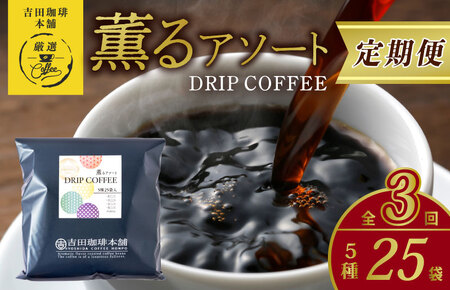 ドリップコーヒー 5種25袋 定期便 全3回【毎月配送コース】