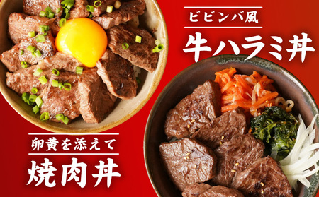 牛肉 ハラミ 750g 小分け 250g×3P 氷温熟成×極味付け