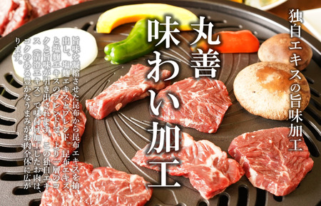 【氷温熟成×極味付け】牛肉 ハラミ 1kg（250g×4）