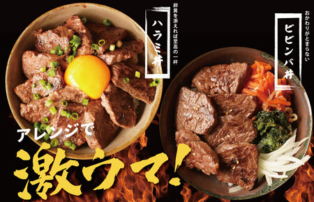 【氷温熟成×特製ダレ】牛肉 ハラミ 900g（300×3）