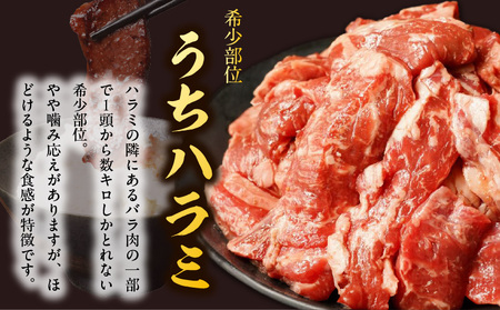 【氷温熟成×特製ダレ】希少部位 牛肉 うちハラミ 1.2kg（400g×3）