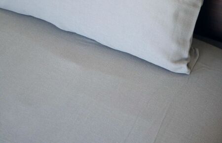 【tissu de coton/ダブルガーゼ】泉州南部織 ピローケース 1枚（グレー）＜スピード発送＞