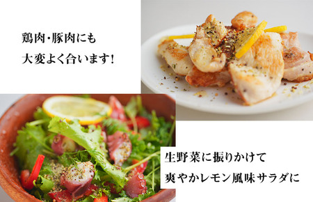 焼き肉専門店 レモン塩 スパイス 90g×3袋 お試し