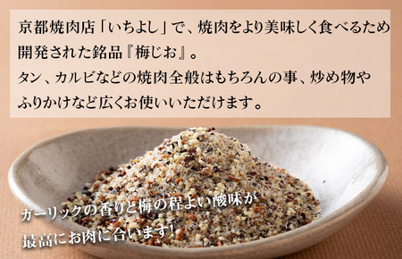 焼き肉専門店 梅じお ガーリック スパイス 90g×4袋 お試し