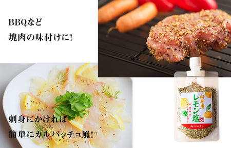 【スピード発送】焼き肉専門店 梅じお レモン塩 スパイスセット 90g×合計4袋 お試し