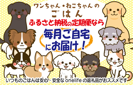 【定期便】国産 無添加 ドッグフード「いのちのごはん」1kg×全3回【毎月配送コース】