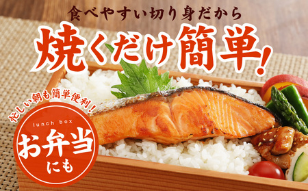 熟成 銀鮭 切り身 辛口塩味 合計 1.5kg(13切れ前後)サケ しゃけ 魚 鮭