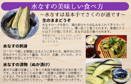 【先行予約／2024年4月以降発送】【野菜ソムリエサミット金賞受賞】大和屋さんの大阪泉州特産 水なすA級品 8個入 生水なす