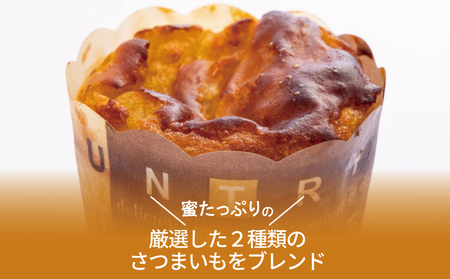 【お歳暮対応】芋匠さのや ギフトセット(濃厚スイートポテト 6個/芋けんぴ)