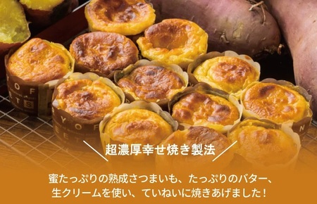 【お歳暮対応】芋匠さのや ギフトセット(濃厚スイートポテト 6個/芋けんぴ)