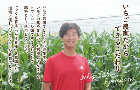 【先行予約】朝採り ホワイトコーン 8本セット