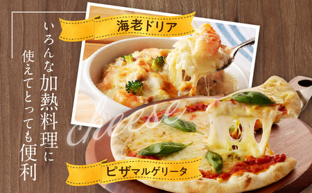 JUCOVIA ミックスチーズ 定期便 2kg×全3回 ムラカワチーズ【毎月配送コース】