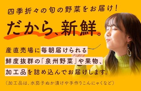 10種類の新鮮野菜 定期便 全12回 毎月配送コース【国産 野菜 やさい 詰め合わせ セット 年間 1年 12か月 新鮮 旬 冷蔵発送 ええもん ていきびん】