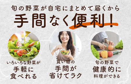 10種類の新鮮野菜 定期便 全12回 毎月配送コース【国産 野菜 やさい 詰め合わせ セット 年間 1年 12か月 新鮮 旬 冷蔵発送 ええもん ていきびん】