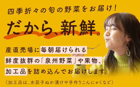 泉州野菜 定期便 7種類×全12回【毎月配送コース】
