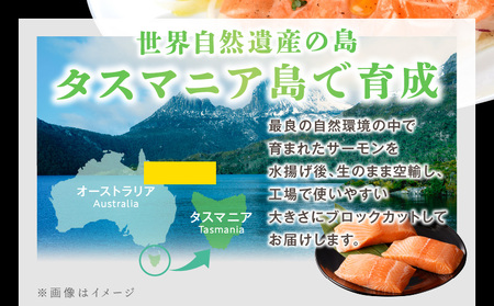 タスマニアサーモン 1kg