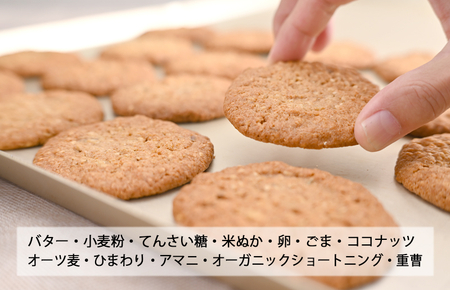 【2025年万博 大阪代表商品】さのかるたクッキー（12枚入り）