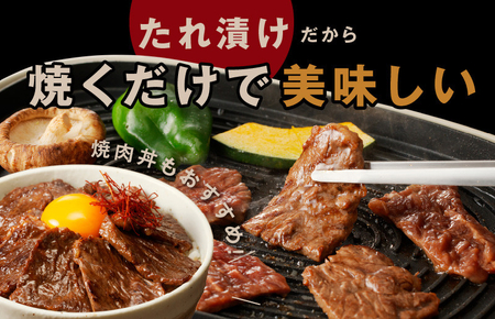 牛タン＆牛ハラミ 総量 2.5kg 焼肉セット【成型牛たん ハラミ 牛肉 焼肉用 薄切り 訳あり サイズ不揃い】