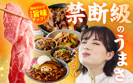 【定期便】国産 牛肉 切り落とし 定期便 1.2kg×全12回 総量 14.4kg 氷温熟成×極味付け【毎月配送コース】