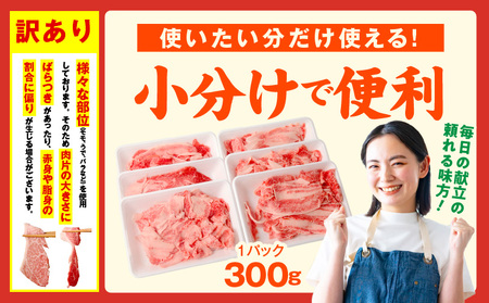 【定期便】国産 牛肉 切り落とし 定期便 1.2kg×全12回 総量 14.4kg 氷温熟成×極味付け【毎月配送コース】