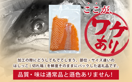 サーモン はしっこ 500g 訳あり 250g×2【アトランティックサーモン 北国からの贈り物 世界No.1サーモンメーカー 刺身 海鮮丼 サラダ 総量 鮭 さけ シャケ しゃけ sake 人気 オススメ 小分け 期間限定 冷凍 家計応援 消費応援 物価高応援】