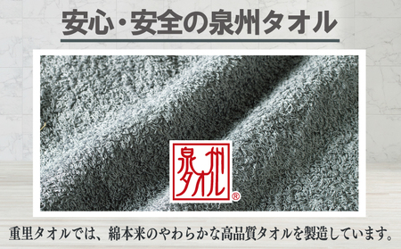 ミニバスタオル 5枚(ブルーグレー)