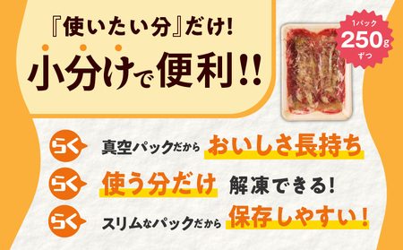 ねぎ塩 牛たん（成型）合計 1kg 小分け 250g×4【牛タン 牛肉 焼肉用 薄切り 訳あり サイズ不揃い】