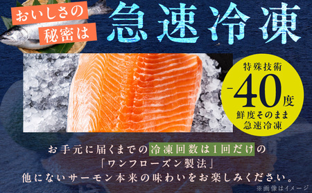 【北国からの贈り物】アトランティック サーモン 200g お試し 小分けパック 刺身 海鮮丼 カルパッチョ ムニエル