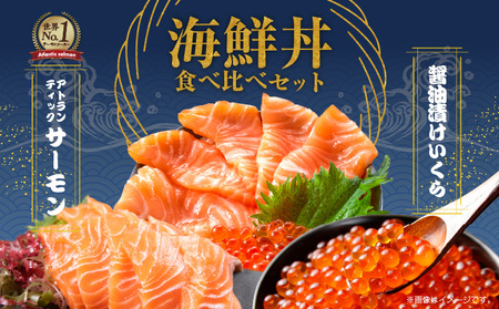 アトランティック サーモン 250g×2P & いくら醤油漬け 80g