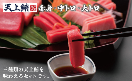 【高島屋選定品】＜東洋冷蔵＞天上鮪 食べ尽くし 定期便 全4回【毎月配送コース】