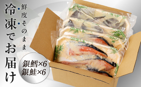 厳選 西京漬けセット 銀鱈/銀鮭 合計 12切れ 切り落とし 訳あり サイズ不揃い
