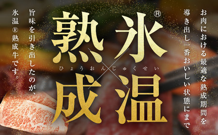 【氷温熟成×極味付け】黒毛和牛A4等級 ロースステーキ400g（2枚で合計400g）