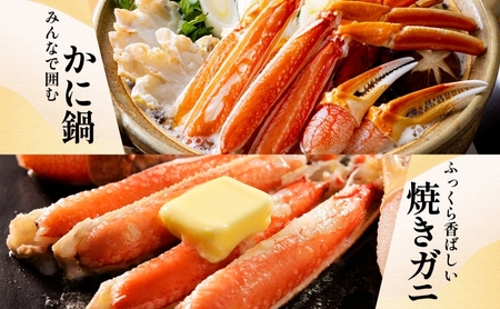 【無地熨斗】本ズワイ 1kg前後 3-4L ビードロカット 蟹酢付